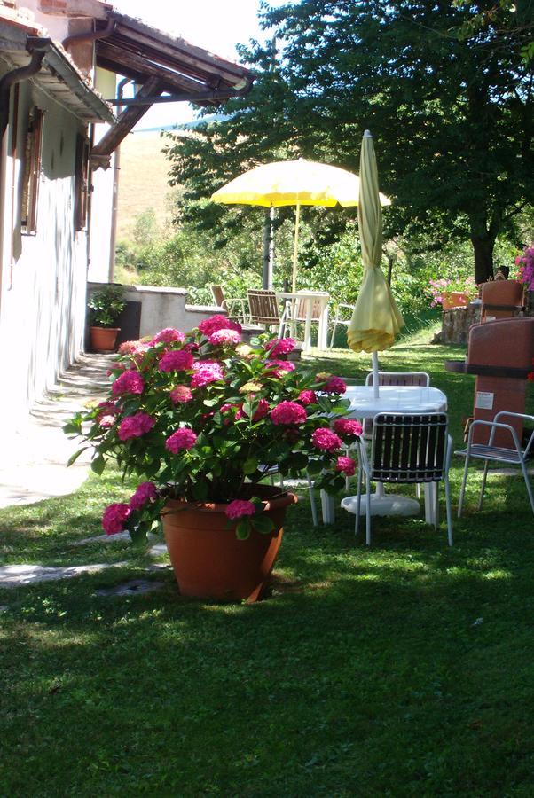 Agriturismo La Guinza 阿尔奇多索 外观 照片