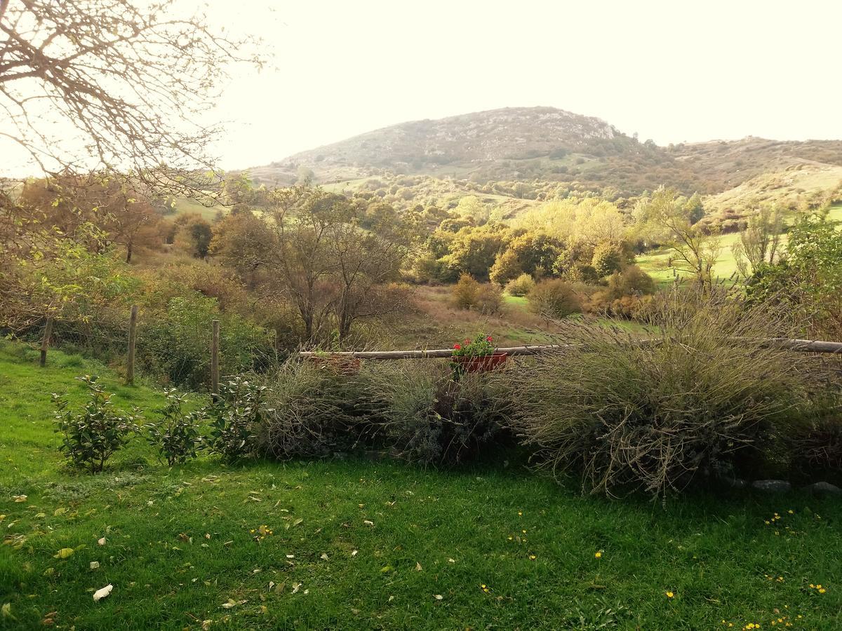 Agriturismo La Guinza 阿尔奇多索 外观 照片